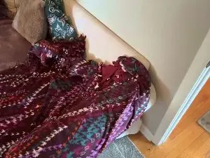 Cam4 Adult Webcam of StudlyHardwood