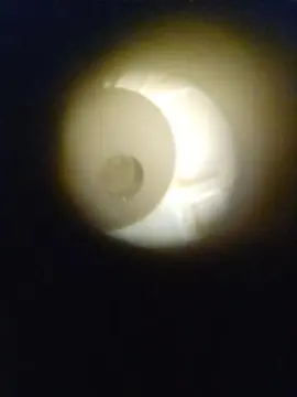 Cam4 Live Sex of needitt2