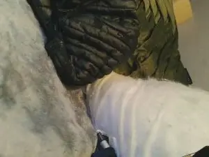 Cam4 Live Sex of Miller1996
