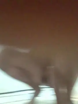 Cam4 Watch Live Sex Cams of casero41