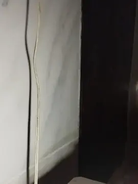 Cam4 Nude Webcam of jackhot32