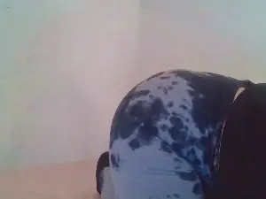 Cam4 Live Porn of xxxbebe283