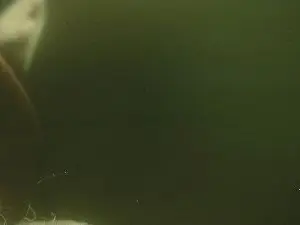 Cam4 Live Sex of zaboski