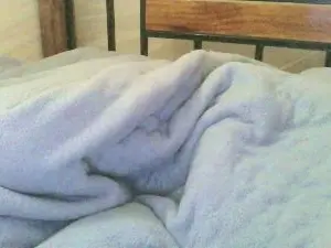 Cam4 Free Porn Cam of cute_shantel