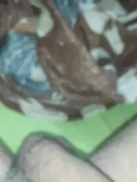 Cam4 Adult Webcams of erick453