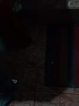 Cam4 Adult Video Chat of pablo42xxx