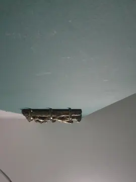 Cam4 Private Sex Chat of azzad86