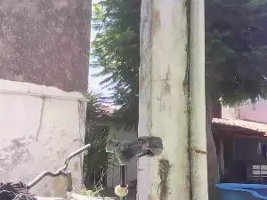 Cam4 Sex Chat of Groot223