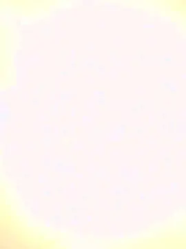 Cam4 Sex Chat of Mirk74