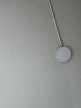 Cam4 Sex Chat of catalina243