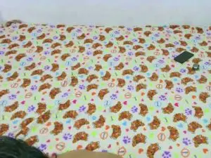 Cam4 Live Porn of Holycode