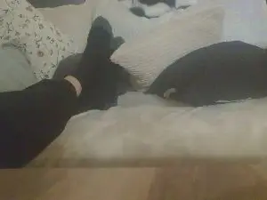 Cam4 Sex Cam of Teamtouch