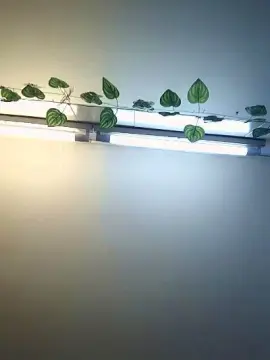 Cam4 Adult Webcam of namibel