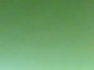 Cam4 Private Sex Chat of BIRDY1383