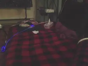 Cam4 Adult Video Chat of JANININA