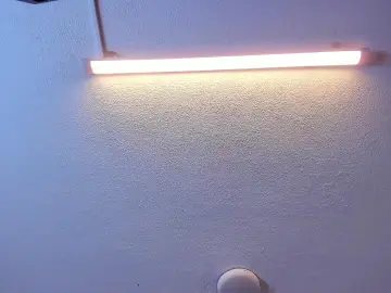 Cam4 Free Live Porn of brittany069