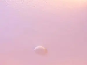 Cam4 Live Sex Cam of brittany069