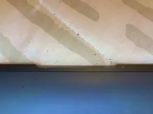 Cam4 Nude Webcam of AmoElite