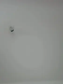 Cam4 Sex Cam of SaymonFitness