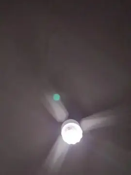 Cam4 Adult Webcams of Danitapop