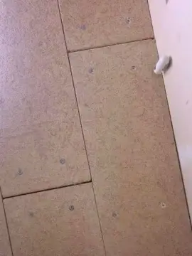 Cam4 Adult Webcams of Oreo37