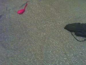 Cam4 Adult Webcams of GiulyRomy