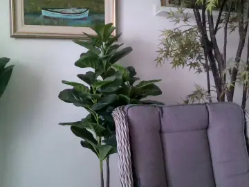 Cam4 Nude Webcam of Mario84Luci