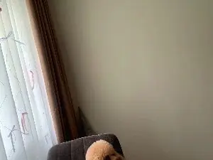 Cam4 Free Live Porn of AbbyEflin