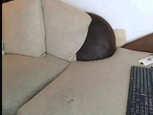 Cam4 Watch Live Sex Cams of begbestuk