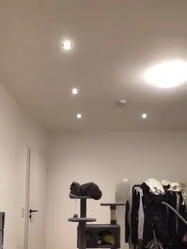 Cam4 Sex Cam of youngplayboymm