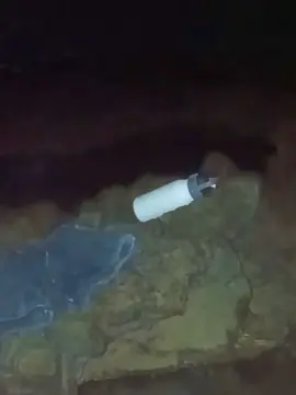 Cam4 Adult Video Chat of pregnanhot