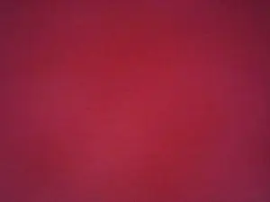 Cam4 Best live sex cam show of Mefil