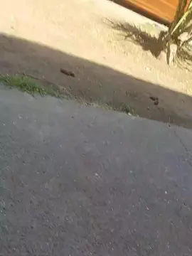 Cam4 Live Sex of Mmmbb69