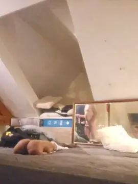 Cam4 Free Live Porn of leviking8