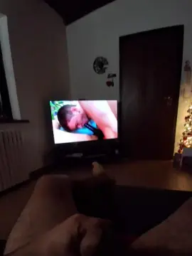 Cam4 Live Sex Cam of Ale8893