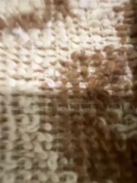 Cam4 Best Webcam of Desconhecido19