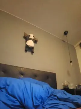 Cam4 Live Sex of soydiegoxxx