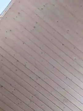 Cam4 Free Porn Cam of rosamelah