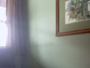 Cam4 Free Porn Cam of austinbuckeye