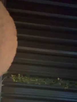 Cam4 Free Live Porn of Mariokurt