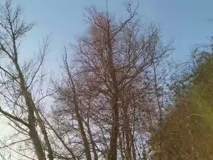 Cam4 Watch Live Sex Cams of darksecret_Lar