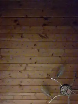 Cam4 Adult Webcam of olegpol