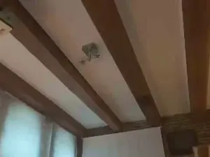 Cam4 Free Porn Cam of SirWoodyScott