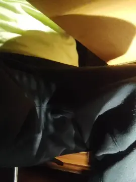 Cam4 Best live sex cam show of brageirac1