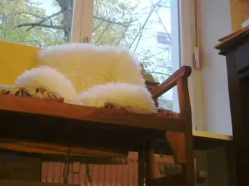 Cam4 Free Porn Cam of Morningwixer