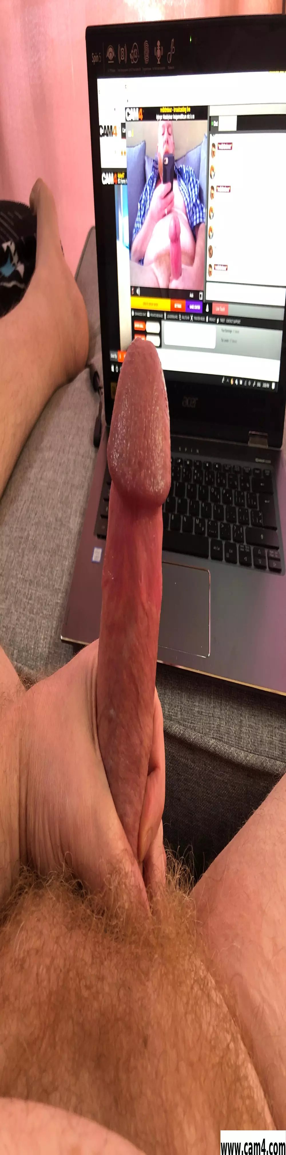 redbttmbear