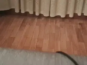 Cam4 Live Sex Cam of pajillero1