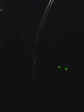 Cam4 Live Porn of firtina_hot_pik