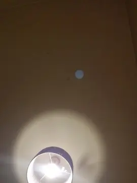 Cam4 Sex Cam of Naughtyvirgin22