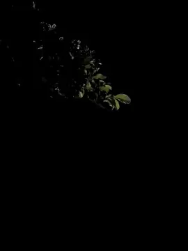 Cam4 Live Sex of Sexylatinogay